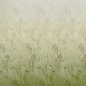 Areca Shadow JT021091-001