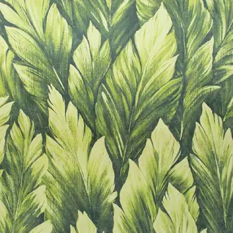 Tropical 26708