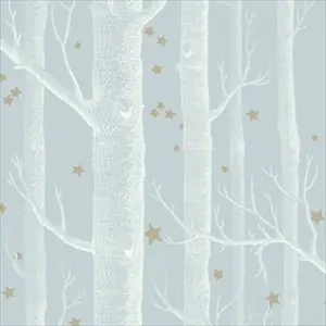 Woods and Stars 103-11051