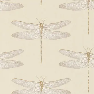 Demoiselle HGAT111239