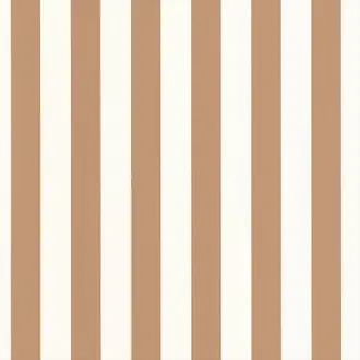 Little Lines BAI104032228