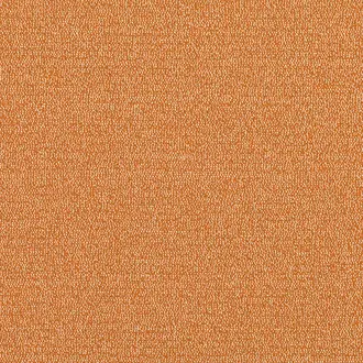Olavi Clementine 7799-12