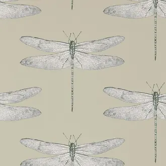 Demoiselle 111241