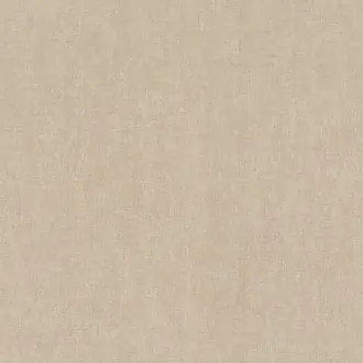 Plains 301594