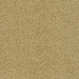Rice 2 383582