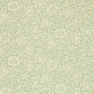 Mallow 216678