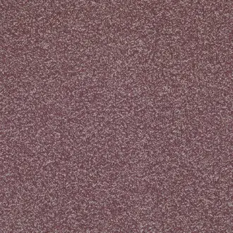 Albora Mauve