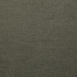Canvas 13
