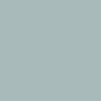 Aqua Paint