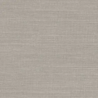 Canvas 313500