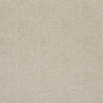 Sesia Silver Birch FDG2747-27