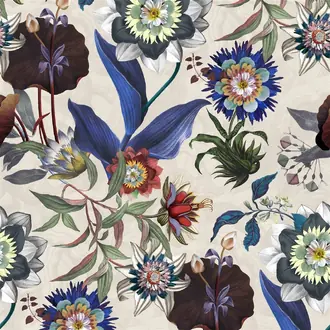 Atlantis FCL7067-01