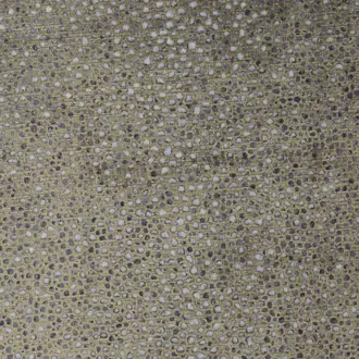Abysses 71241-005