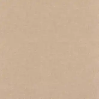 Astell BF11177-205