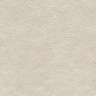 Topo Linen Z494-02