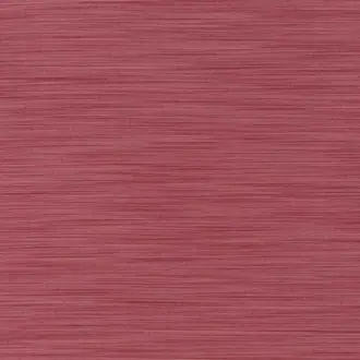 Paul JA6150-010