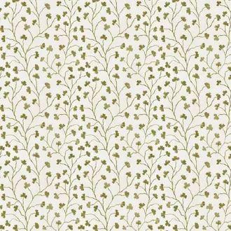 Clover Olive