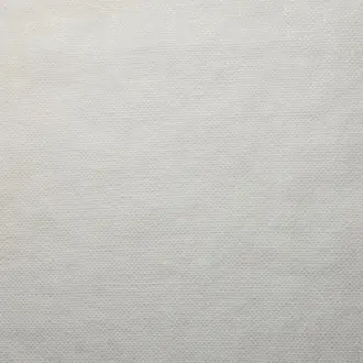 Canvas 17