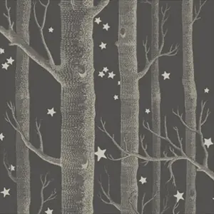 Woods and Stars 103-11053