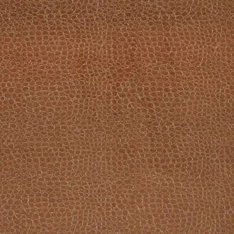 Cobra Rust