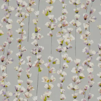 Honor Orchid 7713-01