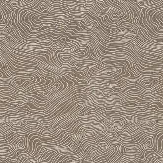 Topo Driftwood Z494-03