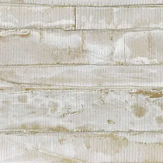 Shades of pale SOP1041