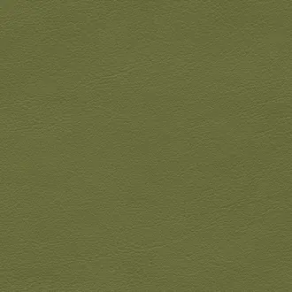 Palma Nf 5245-33