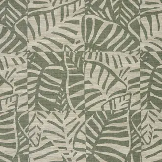 Philo JT013966-001