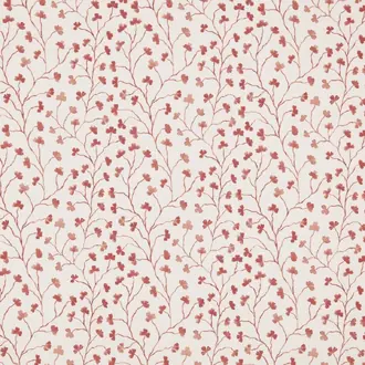 Clover Raspberry