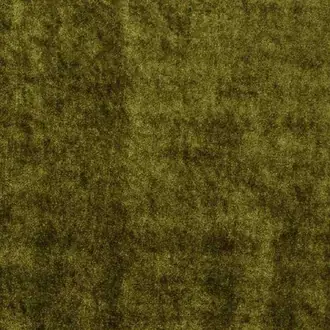 Velvet Olive