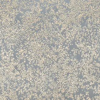 Nyiri Andesite W424-06