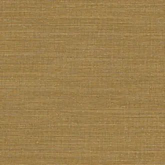 Canvas 313502