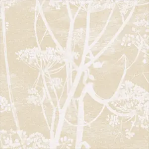 Cow Parsley 66-7049