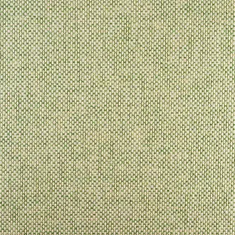 Chromatic Lime Zest 3331