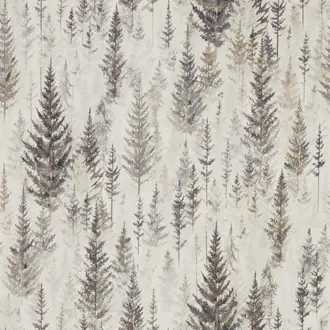 Juniper Pine 216621
