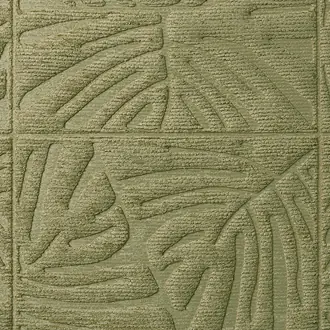 Monstera 43021