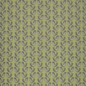 Scandi Birds PVC Kiwi