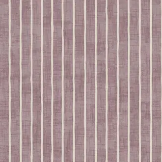 Pencil Stripe Acanthus
