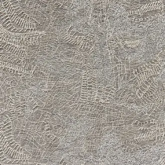 Graffiti 10926984