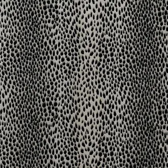 Cheetah JT01 3761 001