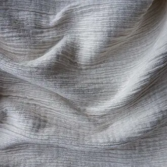 Ripple CERIPP2-CIM