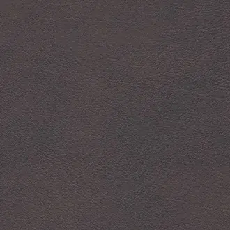 Palma Nf 5245-55