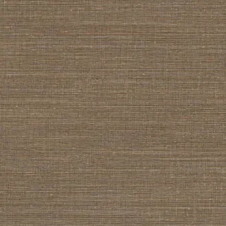 Canvas 313503