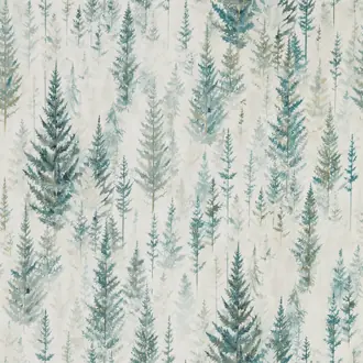 Juniper Pine 216622