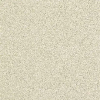 Mosaic 312926