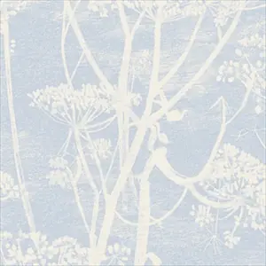 Cow Parsley 66-7050