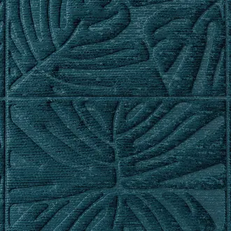 Monstera 43022