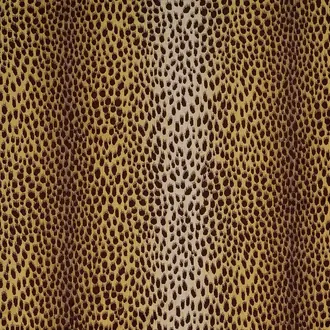 Cheetah JT01 3761 002