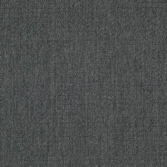 Scribble Coal